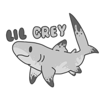 lilgreyshark