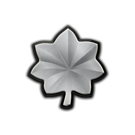 Lieutenant Colonel
